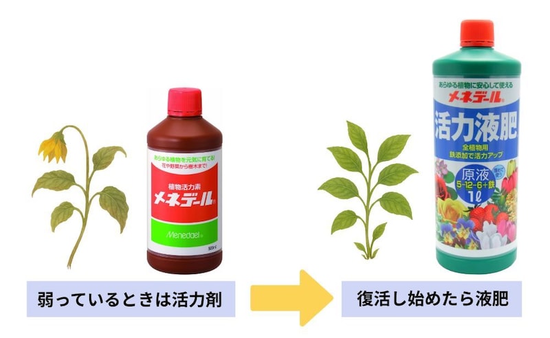 「活力材」と「液肥」