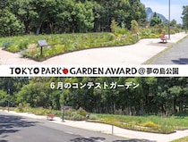 【成長が進む6月】宿根草等を使用する都立公園の花壇コンテスト「第4回 東京パークガーデンアワード」夢の島公園
