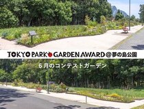 【成長が進む6月】宿根草等を使用する都立公園の花壇コンテスト「第4回 東京パークガーデンアワード」夢の島公園