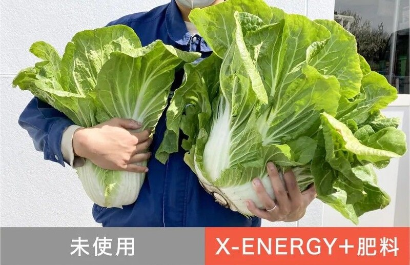 X-ENERGY