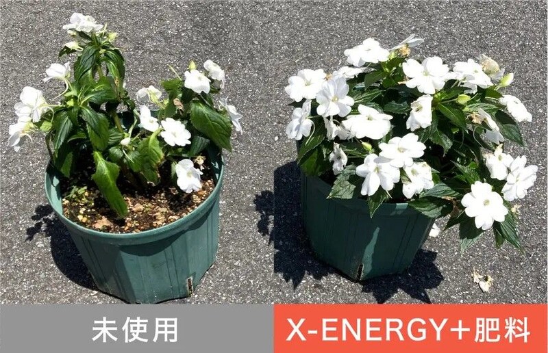 X-ENERGY