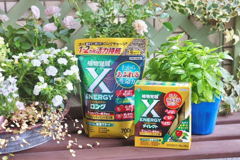 X-ENERGY