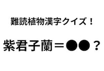 「紫君子蘭」ってどんな花？ 正解できたらすごい難読植物名漢字クイズ