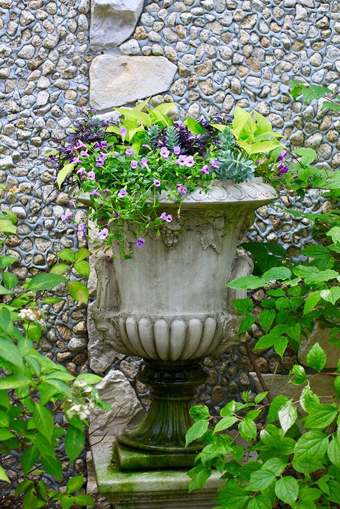 ポトスの寄せ植え
