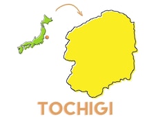 「都道府県の花」3択クイズ！ 栃木県の花は次のうちどれ？【Let’s Try! 植物クイズ】