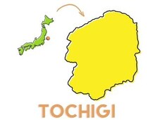 「都道府県の花」3択クイズ！ 栃木県の花は次のうちどれ？【Let’s Try! 植物クイズ】