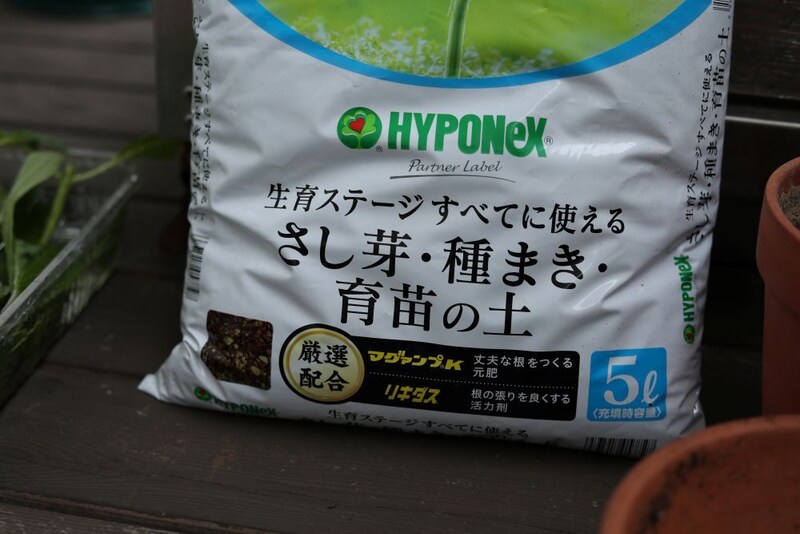 揷し木の土