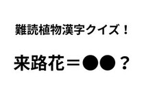「来路花」ってどんな花？ 正解できたらすごい難読植物名漢字クイズ