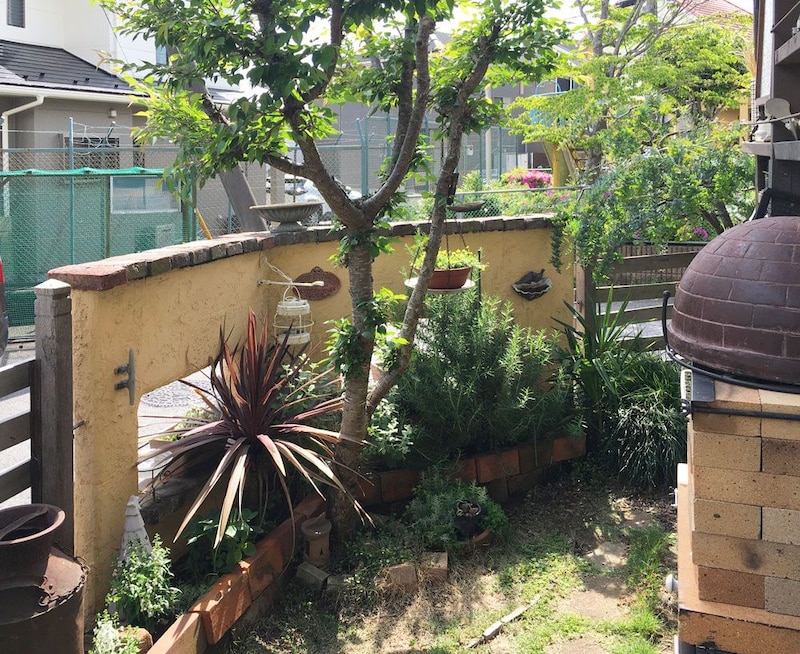 赤銅色の葉が目を引くコルディリネやハンギングが下がる庭木など、見所いろいろ。