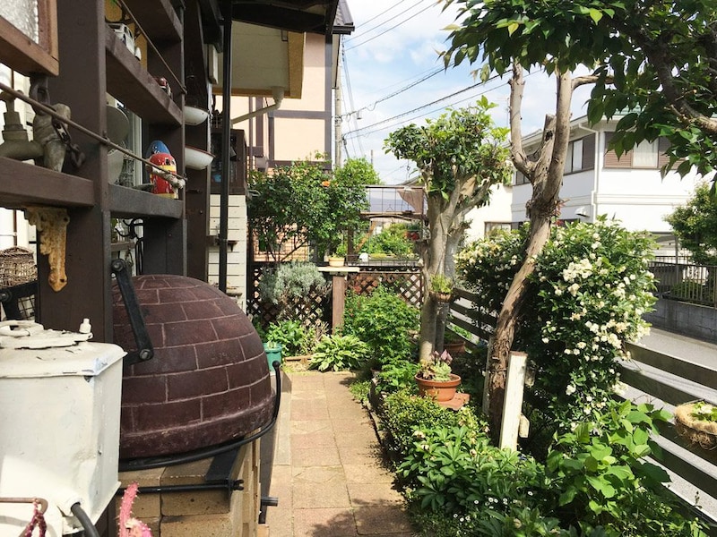 庭は素敵な植栽や多肉植物でいっぱい