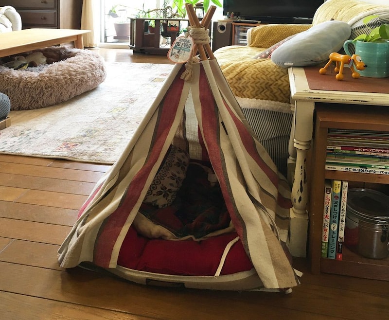 愛犬のお部屋。