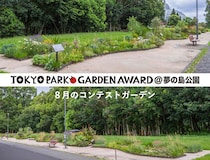 【盛夏の花咲く8月】宿根草等を使用する都立公園の花壇コンテスト「第4回 東京パークガーデンアワード」夢の島公園