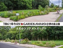 【盛夏の花咲く8月】宿根草等を使用する都立公園の花壇コンテスト「第4回 東京パークガーデンアワード」夢の島公園