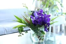 おうちが南国の高級ホテル風に！ 猛暑でも枯れにくい「ラン」を主役にした、エキゾチックで洗練された真夏のアレンジ術