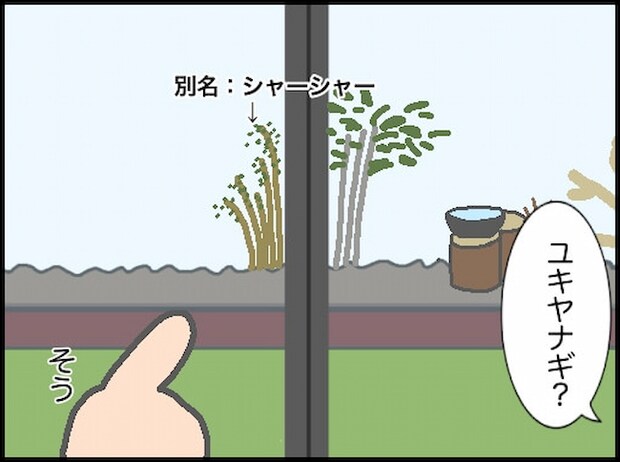 頑張り過ぎない介護/まる子