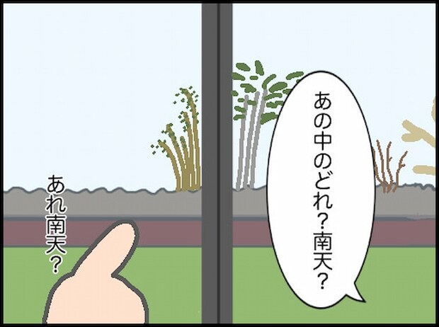 頑張り過ぎない介護/まる子