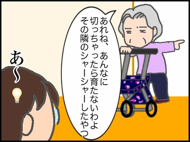 頑張り過ぎない介護/まる子