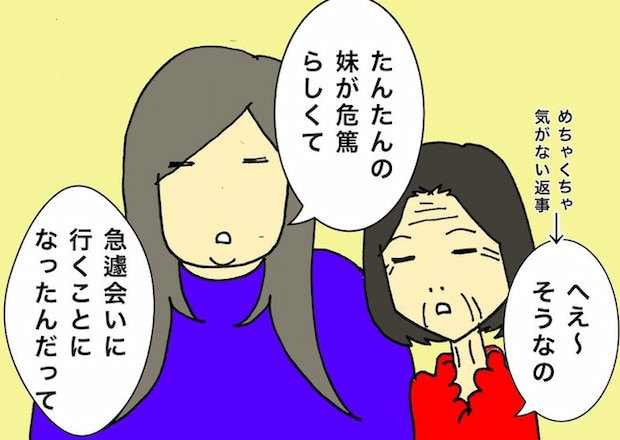 母の認知症介護日記/ワフウフ