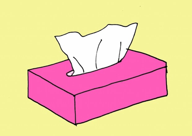 母の認知症介護日記/ワフウフ