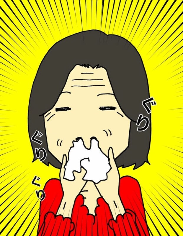 母の認知症介護日記/ワフウフ