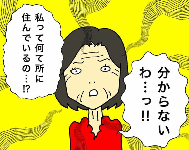 母の認知症介護日記／ワフウフ