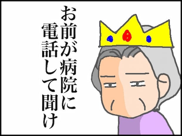 頑張り過ぎない介護/まる子