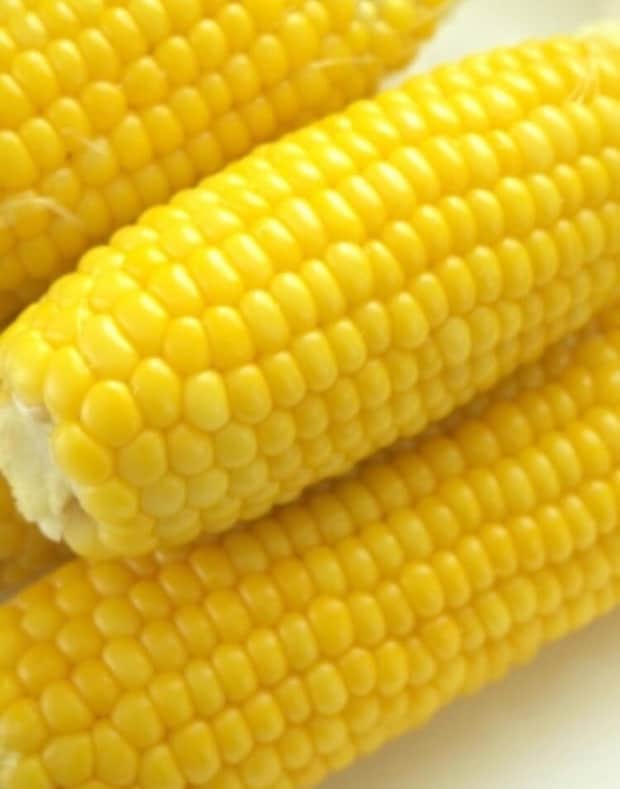 母の認知症介護日記/ワフウフ