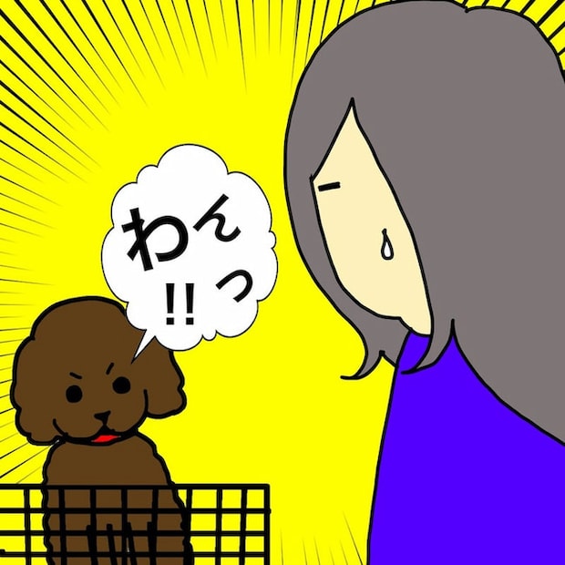 母の認知症介護日記／ワフウフ