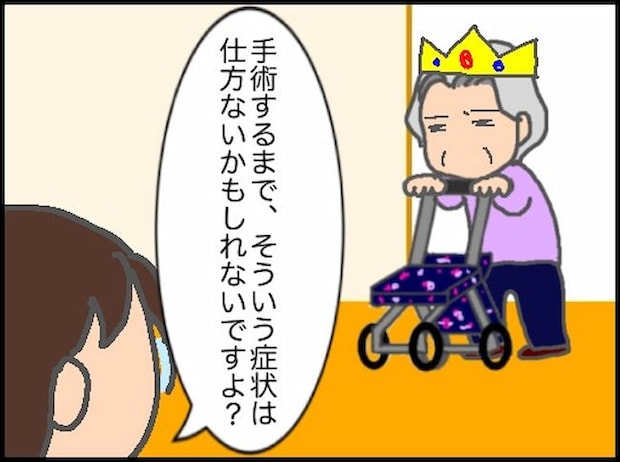 頑張り過ぎない介護/まる子