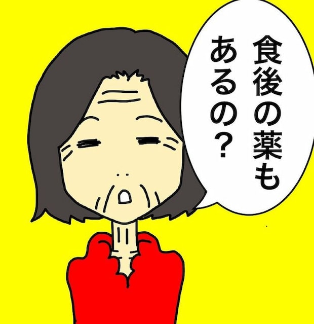 母の認知症介護日記／ワフウフ