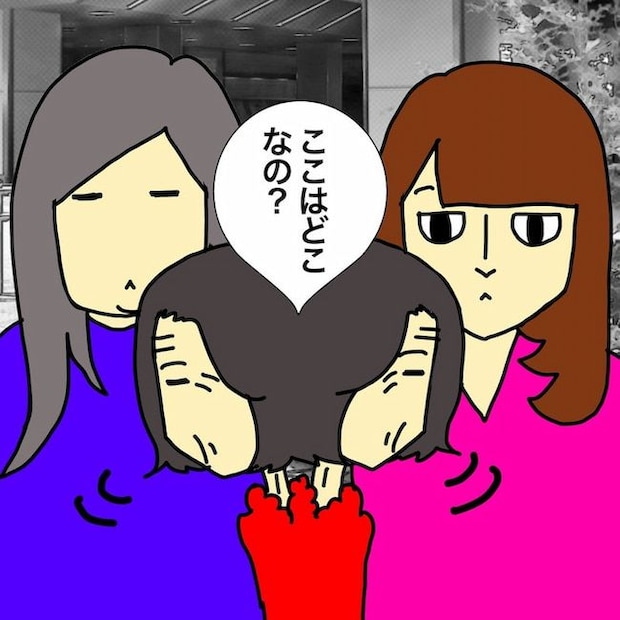 母の認知症介護日記／ワフウフ