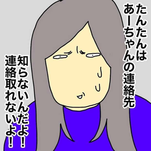 母の認知症介護日記／ワフウフ