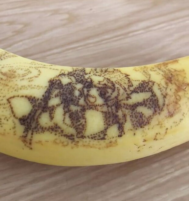 浮かび上がってきたところ