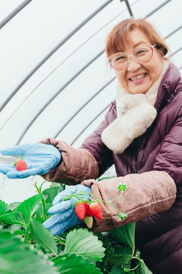 イチゴ農家の中島さん