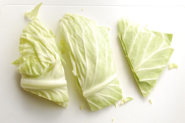 キャベツ