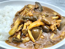 【リュウジが“きのこの変態”と出会う】衝撃！『ひらたけ、ガチでうめぇ！』 旨味濃厚な「きのこカレー」作ろう