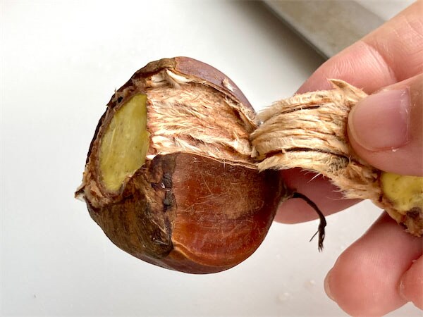 【栗剥きが手で簡単にツルン】レンチンでラクに剥ける裏ワザ試してみたら…私史上最短で出来ちゃった話