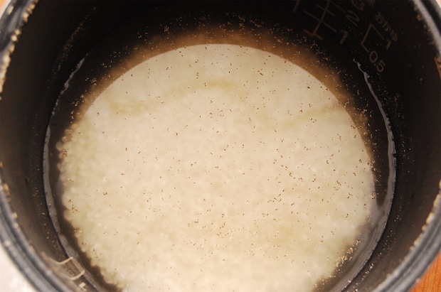 ご飯