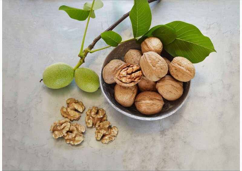 くるみパン総選挙結果発表!2024年最も人気のある「 くるみパン オブ・ザ・イヤー」が決定