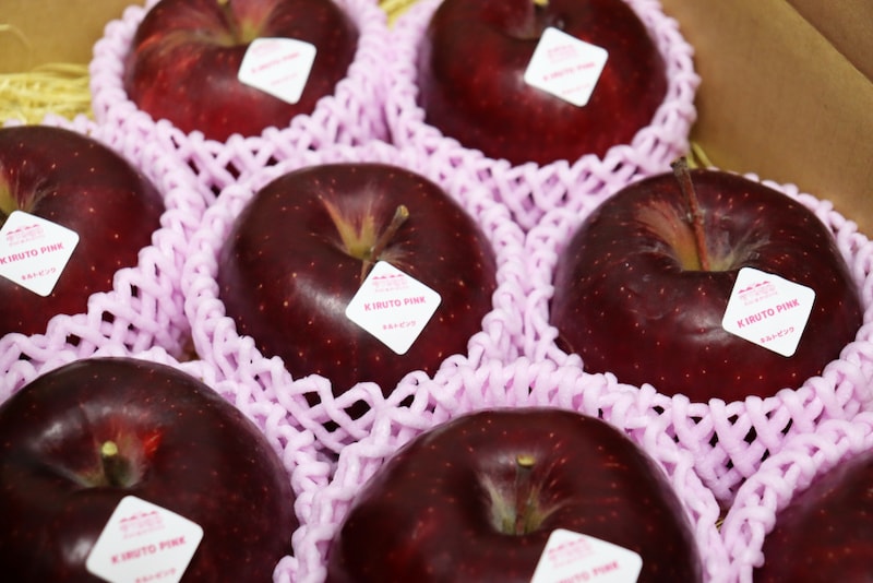 キルトピンク外観