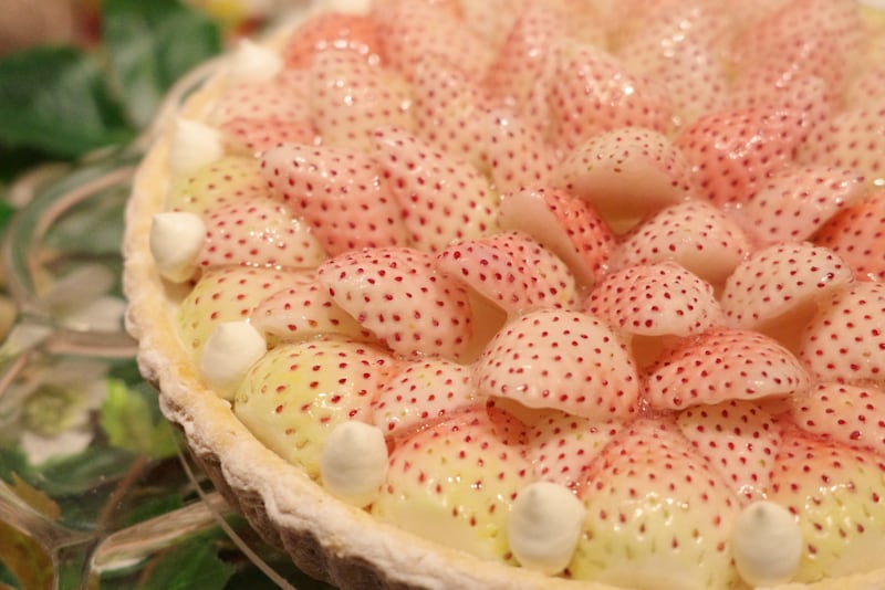 特選 白イチゴ “初恋の香り”のタルトのアップ