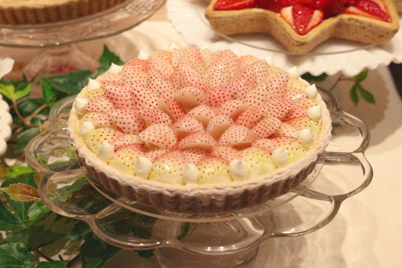 特選 白イチゴ “初恋の香り”のタルト