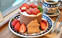 1人1ホールの贅沢。大阪・中崎町「しまこカフェ」で出会う、ときめきのシフォンケーキ