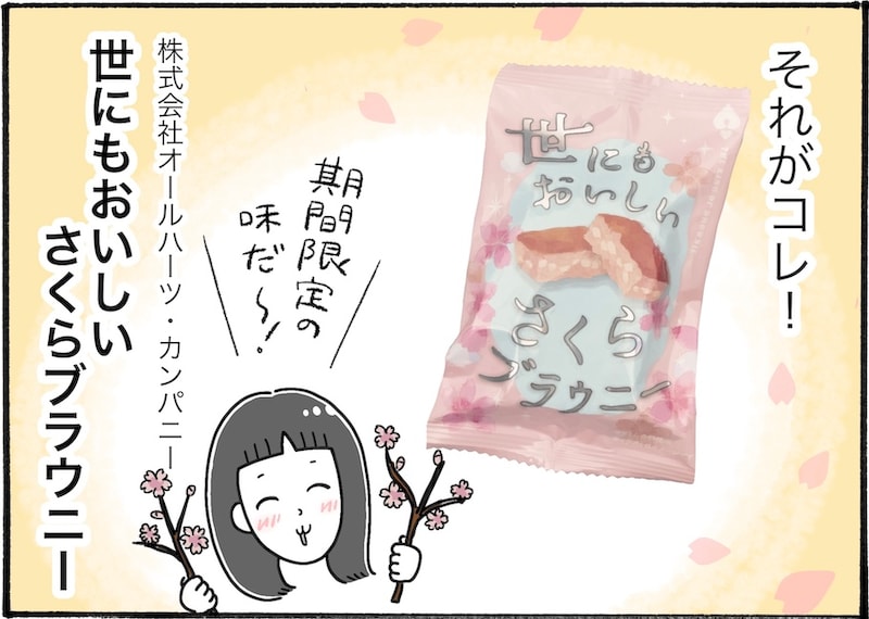 このシリーズ好き。コンビニやスーパーで食べられる本格ブラウニー【アラフォー主婦の“我慢しなくていい”お菓子】vol.78