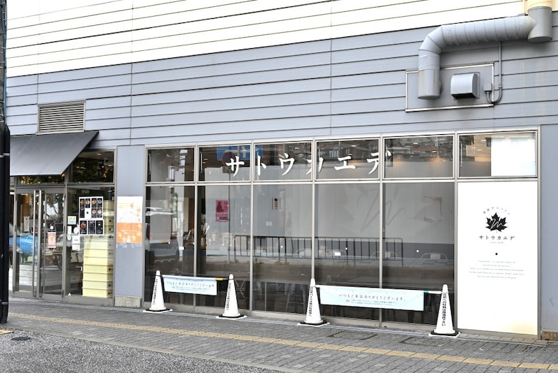 サトウカエデの外観