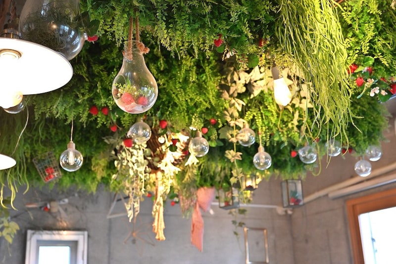 ナナイロフルウツの内観