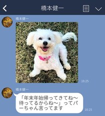 母の優しさが沁みる…今すぐ“帰省したくなる”LINE3選。父「犬が言ってたよ」って代弁させるのズルい！
