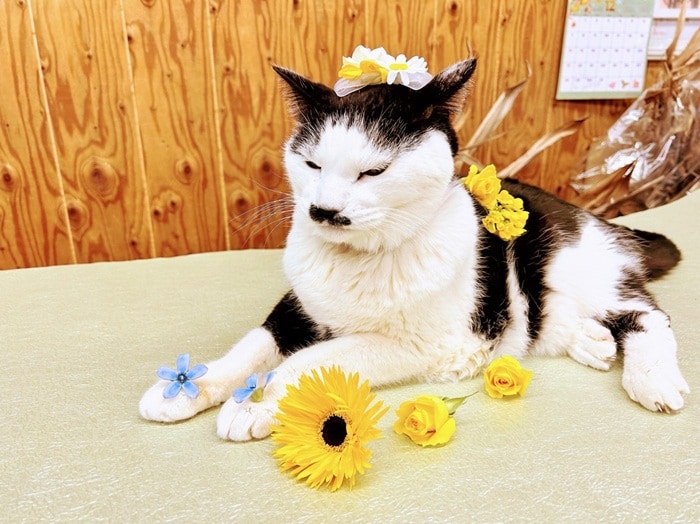 「俺を花束にしてください」奇妙な依頼に困惑。身体が不自由な友人のため…青年の策が起こした“奇跡”