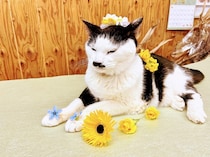 「俺を花束にしてください」奇妙な依頼に困惑。身体が不自由な友人のため…青年の策が起こした“奇跡”