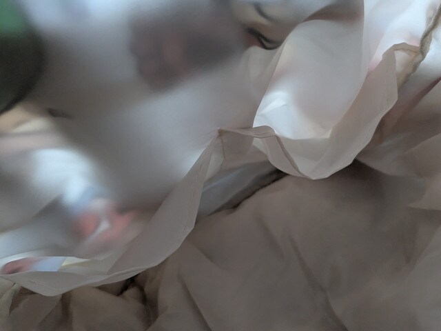 ヒステリックミニトート中